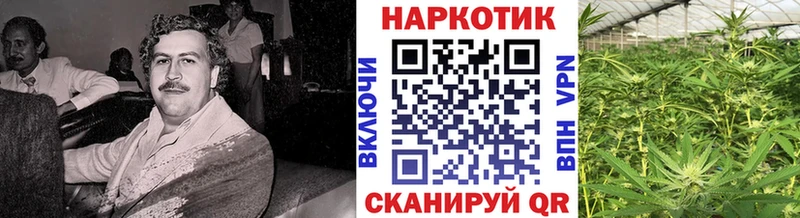 Что такое Спасск-Рязанский Экстази  Гашиш  Марихуана  СК  Амфетамин 
