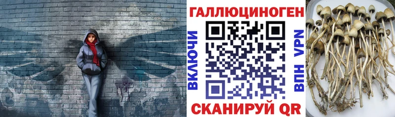 Галлюциногенные грибы GOLDEN TEACHER  Спасск-Рязанский 